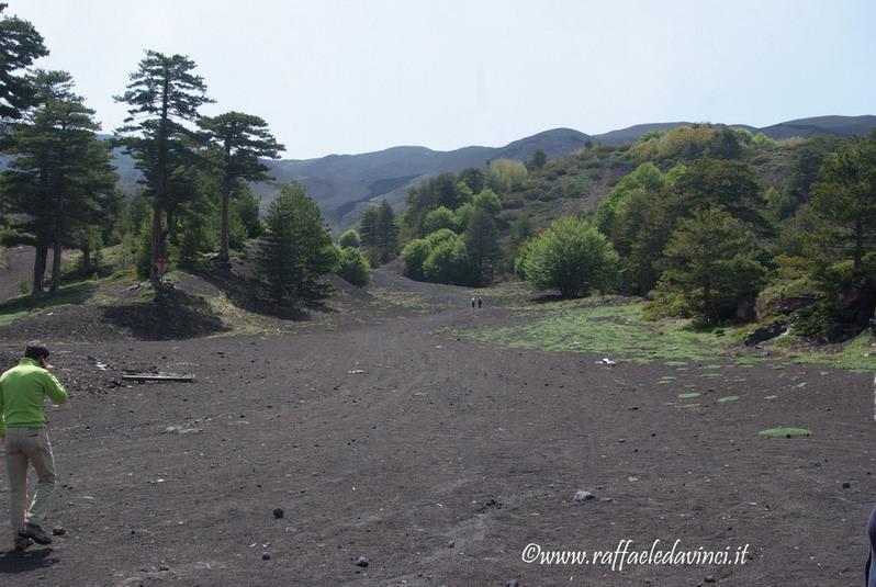 Etna1. 17mag08 (130)_ridimensionare_ridimensionare.jpg